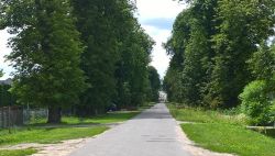 kasztanowa 31072017