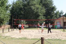IMG 4282