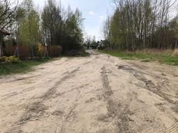 Asnyka1