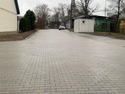 IMG 4553