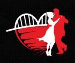 logo ido