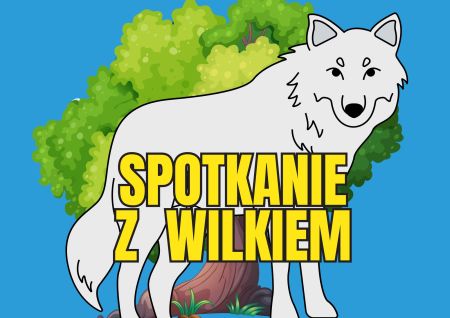 wilk strona