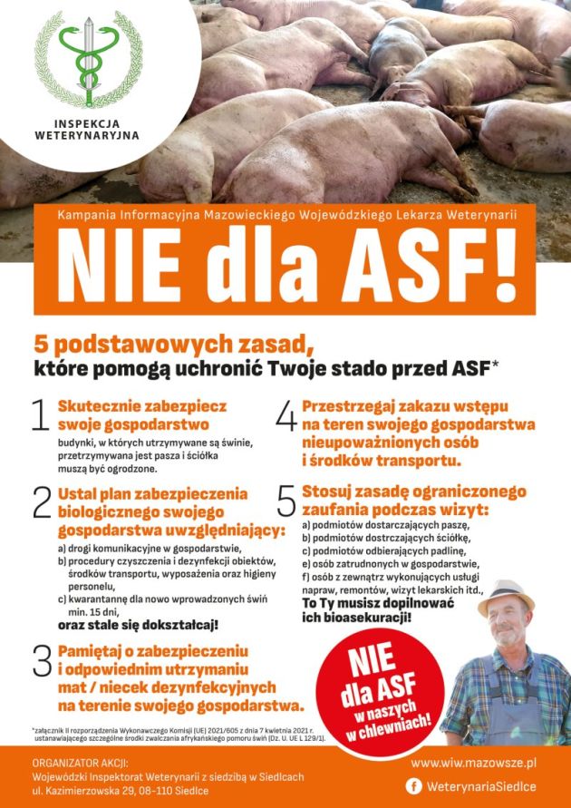 MWLW INSPEKCJA WETERYNARYJNA PLAKAT ASF 002