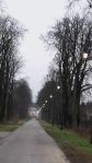 20171207 075323