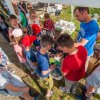 rybka-01062016-10