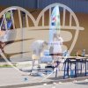 bieg-14052017-160