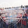 mdb-2019-36