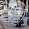 img_2754