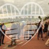 Lekkoatletyczny Memoriał Zygmunta Siedleckiego